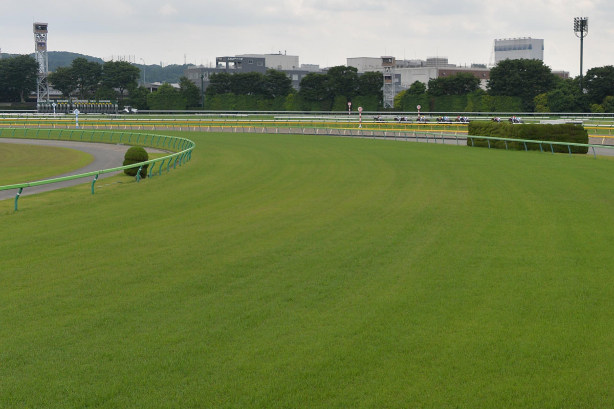 連載「サイレンススズカ」 | 競馬ニュース・特集なら東スポ競馬